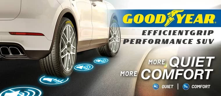 Goodyear India - Manimajra, Chandigarh